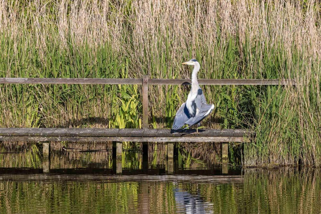 De Heerlijkheid Hébergement de vacances Hensbroek